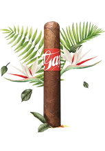 Load image into Gallery viewer, G.A.R RED BY GRAN HABANO
